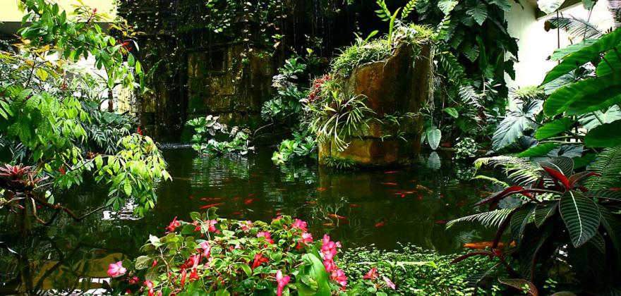 5 incroyables jardins et parcs à découvrir à Nice